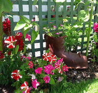 Albany Bayview Lodge YHA - Accommodation Brunswick Heads