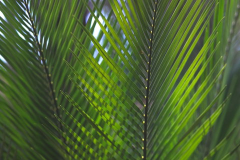 The Jackson Ranch - Accommodation Brunswick Heads 2