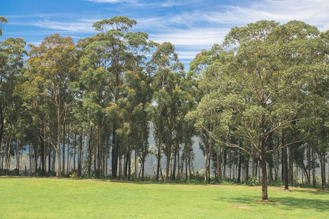 The Jackson Ranch - Accommodation Brunswick Heads 4