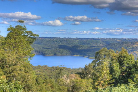 Montville Misty View Cottages - Accommodation Brunswick Heads 1