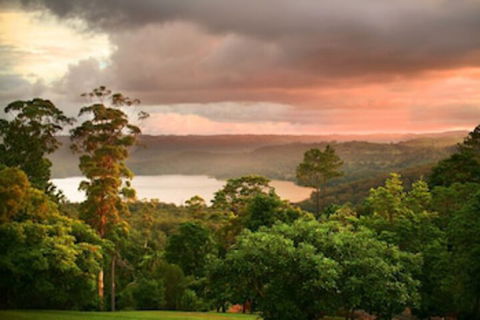 Montville Misty View Cottages - Accommodation Brunswick Heads 0