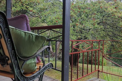 Glenbrook House And Cottage - Accommodation Brunswick Heads 1