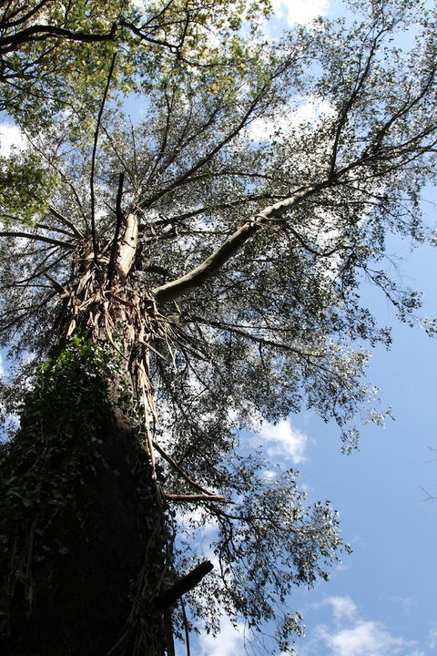 Gatehouse Cottage At Merrow Cottages - Mt Dandenong - Accommodation Brunswick Heads 4
