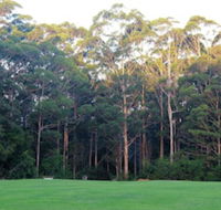 Tinglewood Cabins - Accommodation Brunswick Heads