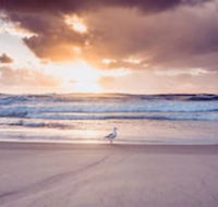 Blue Waters Motel - Accommodation Brunswick Heads