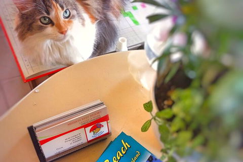 Mission Reef Resort - Accommodation Brunswick Heads 6