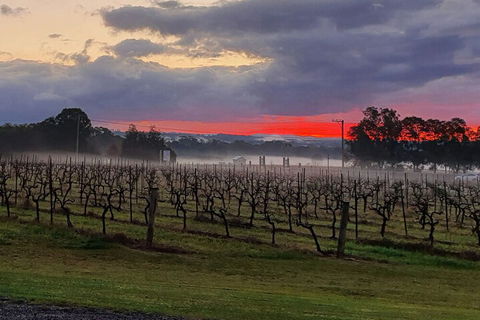 Adina Vineyard - Accommodation Brunswick Heads 4