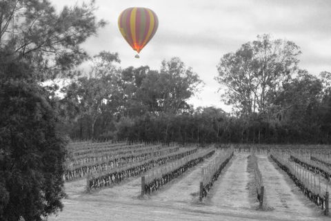 Adina Vineyard - Accommodation Brunswick Heads 5
