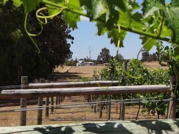 Big Brook Cottages - Accommodation Brunswick Heads 4