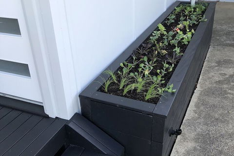 Augusta Escape Holiday Units - Accommodation Brunswick Heads 5