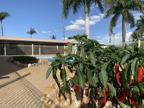 Silo Motor Inn - Accommodation Brunswick Heads 6