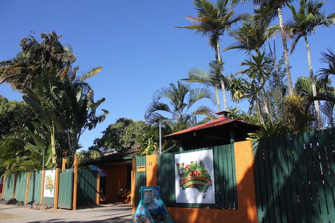 JJs Backpackers Hostel - Accommodation Brunswick Heads 1