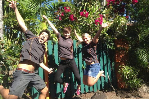 JJs Backpackers Hostel - Accommodation Brunswick Heads 6