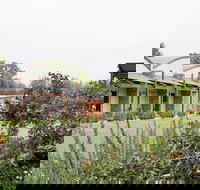 A Must At Coonawarra - Accommodation Brunswick Heads