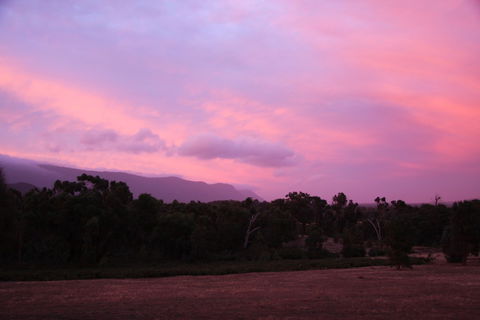 Boroka Downs - Accommodation Brunswick Heads 1