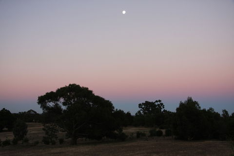 Boroka Downs - Accommodation Brunswick Heads 0