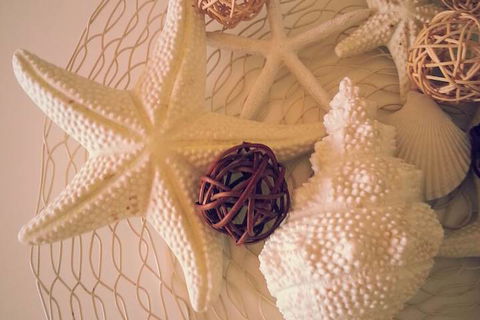 104 On Merri Apartments - Accommodation Brunswick Heads 3