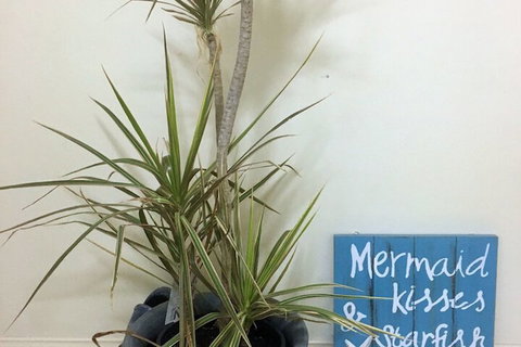 Al Mare Beachfront Retreat - Accommodation Brunswick Heads 2