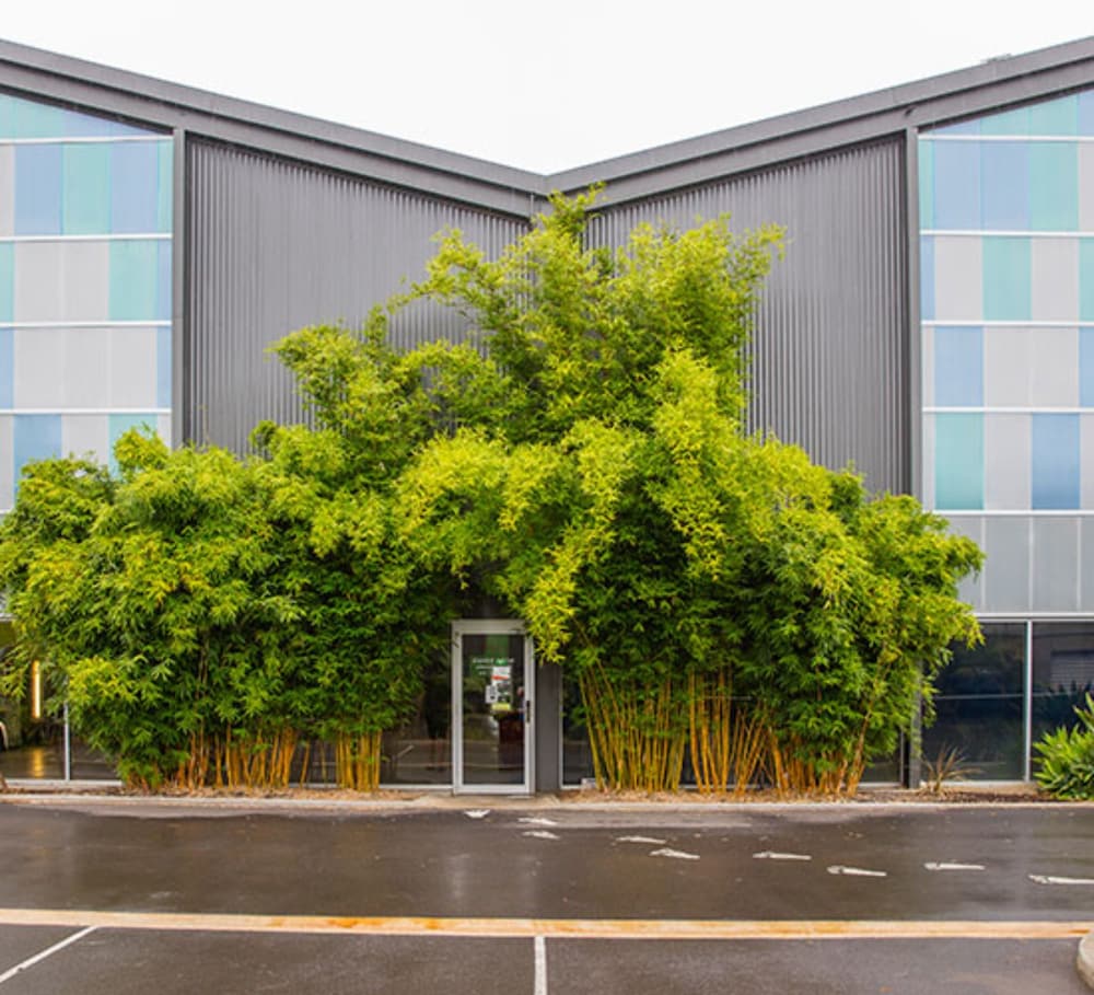  Accommodation Brunswick Heads