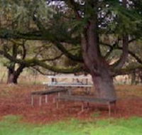 Auburn Shiraz Motel - Accommodation Brunswick Heads