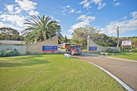 Acclaim Pine Grove Holiday Park - Accommodation Brunswick Heads 0
