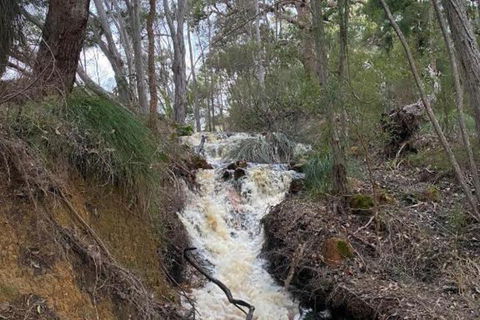 Donnelly Lakes - Accommodation Brunswick Heads 5