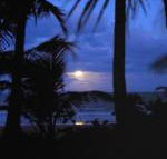 Sejala Beach Huts - Accommodation Brunswick Heads