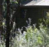 Twin Falls Bush Cottages - Accommodation Brunswick Heads