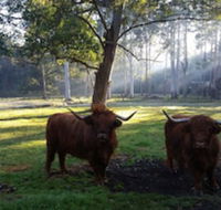 Dingley Dell - Accommodation Brunswick Heads