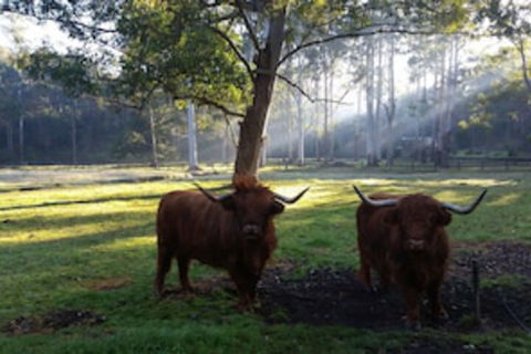 Dingley Dell - Accommodation Brunswick Heads 0