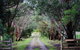 Galwiji Homestead - thumb 7