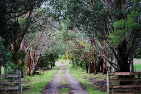 Galwiji Homestead - Accommodation Brunswick Heads 7