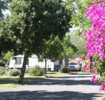 BIG 4 Hay - Accommodation Brunswick Heads