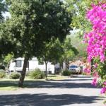 BIG 4 Hay - Accommodation Brunswick Heads 0