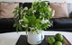 Centrepoint Units Heidelberg - thumb 2