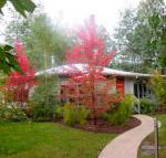 Dalrymples Guest Cottages - Accommodation Brunswick Heads