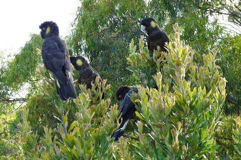 Eagles Rise Tasmania - Accommodation Brunswick Heads 5