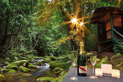 Misty Mountains Rainforest Retreat - Accommodation Brunswick Heads 3