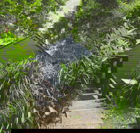 Montagues of Montville - Accommodation Brunswick Heads