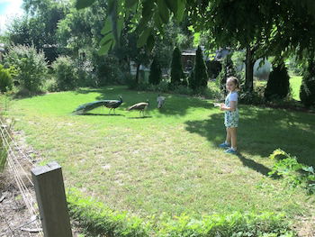 Eukey QLD Accommodation Brunswick Heads