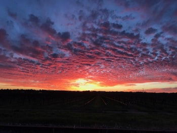 Barossa House - Accommodation Brunswick Heads 4