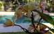Arabella Garden Inn Motel - thumb 2