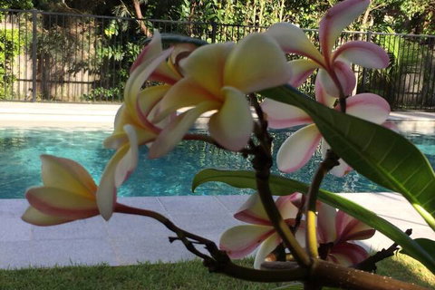 Arabella Garden Inn Motel - Accommodation Brunswick Heads 2