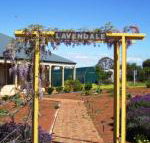 Lavendale Farmstay  Cottages York - Accommodation Brunswick Heads