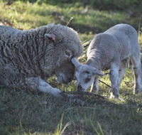 Clandulla Cottages - Accommodation Brunswick Heads