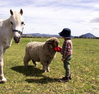Taras Richmond Farmstay - Accommodation Brunswick Heads