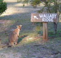 Wallaby Ridge Retreat - Accommodation Brunswick Heads