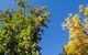 Strayleaves Caravan Park - thumb 4