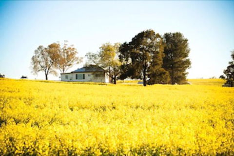 Colenso Country Retreat - Accommodation Brunswick Heads 4