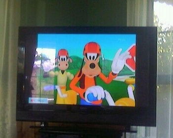 Abelia Cottage Of Daylesford Botanical - Accommodation Brunswick Heads 2